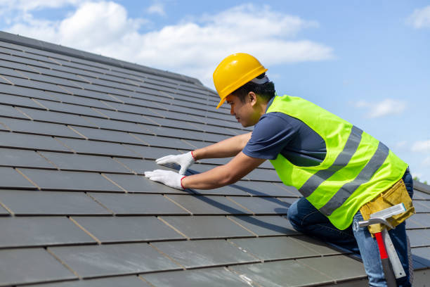 Best Roof Moss and Algae Removal  in Country Club Estates, GA